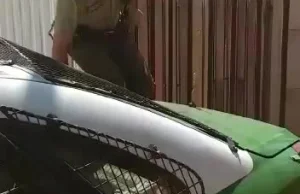 Policjant ratuje zaplątanego psa. Oglądajcie do końca :)