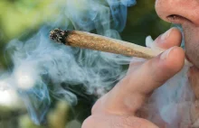 Kanada. Legalna marihuana to cios w branżę piwną