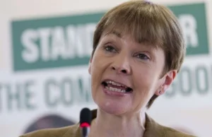 Posłanka Parti Zielonych w UK chce zmiany ordynacji wyborczej na proporcjonalną!