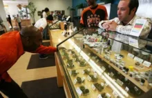 Sprzedaż marihuany w Kolorado - 1 miliard dolarów w pierwszych 10...