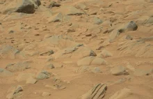 Nowa zagadka Marsa. Kolumna z rysunkiem człowieka?