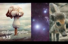 Skutki wojny nuklearnej - Najstarsza gwiazda - Mądre świnie