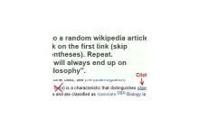 Ciekawe spostrzeżenie dot. wikipedii