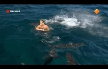Rzeczywiste nagranie z ataku rekinów: prezenter telewizyjny zostaje ugryziony