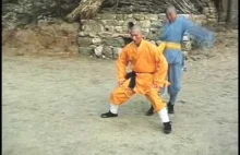 Shaolin Kung Fu: supertajny trening "żelaznych jaj"