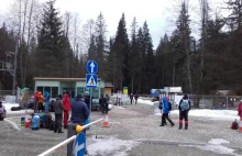 Na Palenicy Białczańskiej powstaną food trucki!