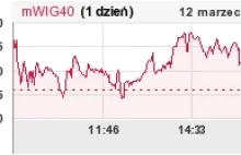 Euro 2012: szefowie spółki PL 2012 zainkasowali milionowe premie