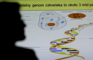 Powstanie genetyczny wzorzec Polaka. Dowiemy się, kim tak naprawdę jesteśmy