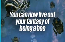 Polski Symulator Pszczoły podbija internet