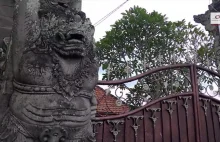 Bali odc. 2: Walki kogutów i gigantów