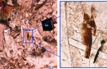 Minerał spotykany dotąd jedynie w skałach i meteorytach księżycowych w Australii