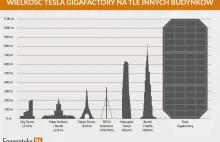 GigaFabryka Tesli mogłaby bronić Polski jak US Army. Niestety, wygrali Niemcy