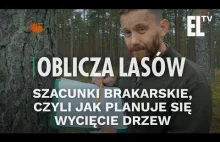 Jak to jest z tym wycinaniem lasów?