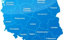 Wybierz najlepsze schronisko w Małopolsce