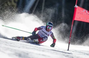 Ted gigant. Nie oddał alpejskiej korony