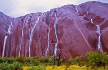 Wodospady na Uluru, niecodzienny widok zapierający dech w piersiach