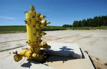 MSP: Gaz łupkowy będzie tańszy od rosyjskiego