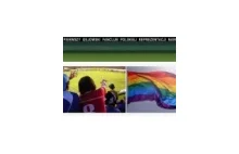 Odpowiedź na TęczowąTrybunę2012: Zakaz stadionowy dla gejów
