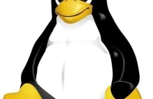 Linux kończy wsparcie dla procesorów 386