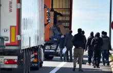 Przewoźnik zgłosił ukrywających się w jego ciężarówce imigrantów. Zapłaci karę