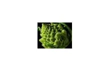 Wiedziliście, że niektóre brokuły mogą przyjmować kształt fraktali?