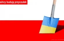 W Polsce będzie szybko przybywać Ukraińców. Nawet 300 tys. rocznie