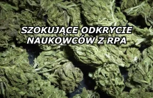 Szokujące odkrycie - zobacz, który wybitny pisarz palił trawkę