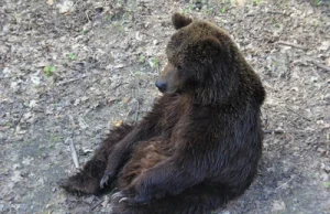 Awantura w poznańskim ZOO