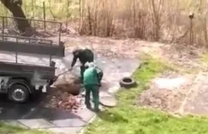 Pracownicy MZGK wrzucali gruz do studzienki kanalizacyjnej [WIDEO]
