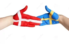 Szwecja i Dania wspólnie będą walczyć z dezinformacją Rosji