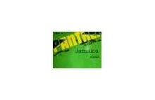 PANTHER Jamaica [jpeg] (Podróbka PUMA Jamajca)