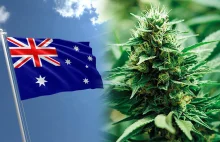 W stolicy Australii można już posiadać 50g marihuany i uprawiać do 4 roślin
