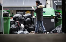 Śmieci zalewają Paryż: Brzydki zapach i gryzonie odstraszają klientów