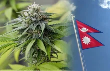 Rząd Nepalu chce zalegalizować marihuanę i zakazać importu alkoholu