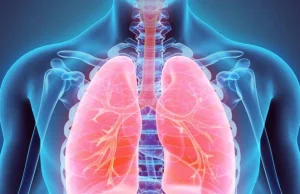 Nature:Płuca ludzkie się regenerują u byłych palaczy