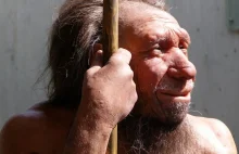 DNA neandertalczyków obecne u wszystkich żyjących współcześnie ludzi