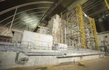 Grzyby, które „jedzą” promieniowanie na ścianach reaktora jądrowego w Czarnobylu