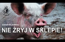 Nie żryj w sklepie - Psy Dają Głos radzą