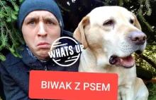 Biwak w lesie z moim psem Kiarą