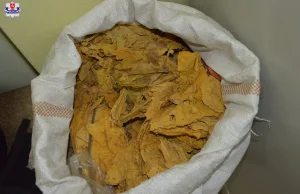 69-letka kupiła 10 kg tytoniu na własne potrzeby. Grozi jej grzywna i nie tylko.