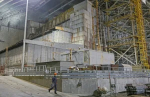 Zbadano grzyba w reaktorze w Czarnobylu. Pochłania promieniowanie.