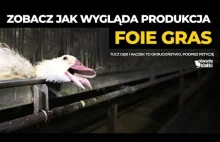 Jak powstaje foie gras? Pracownik fermy gęsi ujawnia okrutne praktyki