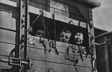 Najbardziej wstrząsające wspomnienia z obozu zagłady w Treblince