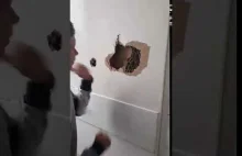 licealista demoluje drzwi