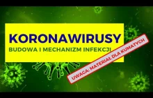 Koronawirusy - budowa i molekularny mechanizm infekcji