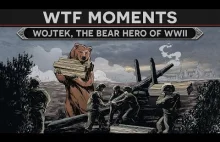 WTF Moments in History - Miś Wojtek