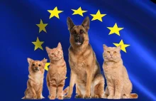 Parlament Europejski chce obowiązkowego systemu rejestracji psów i kotów