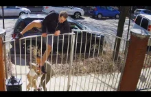 Biegacz zostaje zaatakowany przez agresywnego psa