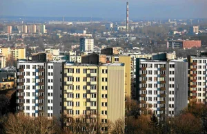 Łowcy tanich mieszkań udają młode małżeństwa, samotne matki. Byle tylko...