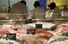 Producenci przetworów rybnych dodają do nich nawet zmielone skóry